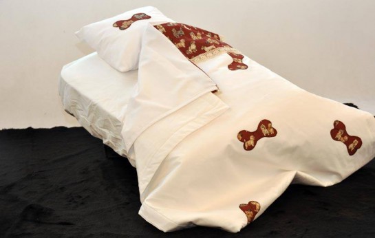 Cama Box para cachorro